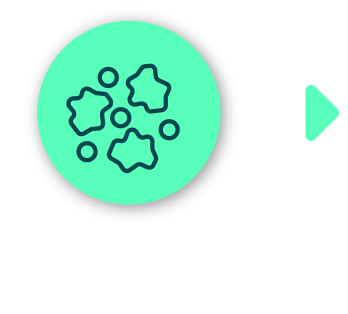 triturado